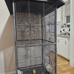 Bird Cage