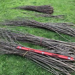 Wattle Fence Weaving Branches
