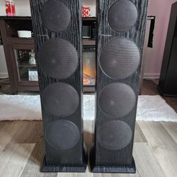 Pioneer SP-FS51-LR 