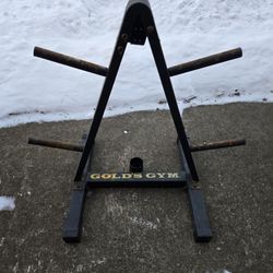 Old Rusty Golds Gym Weight Tree--