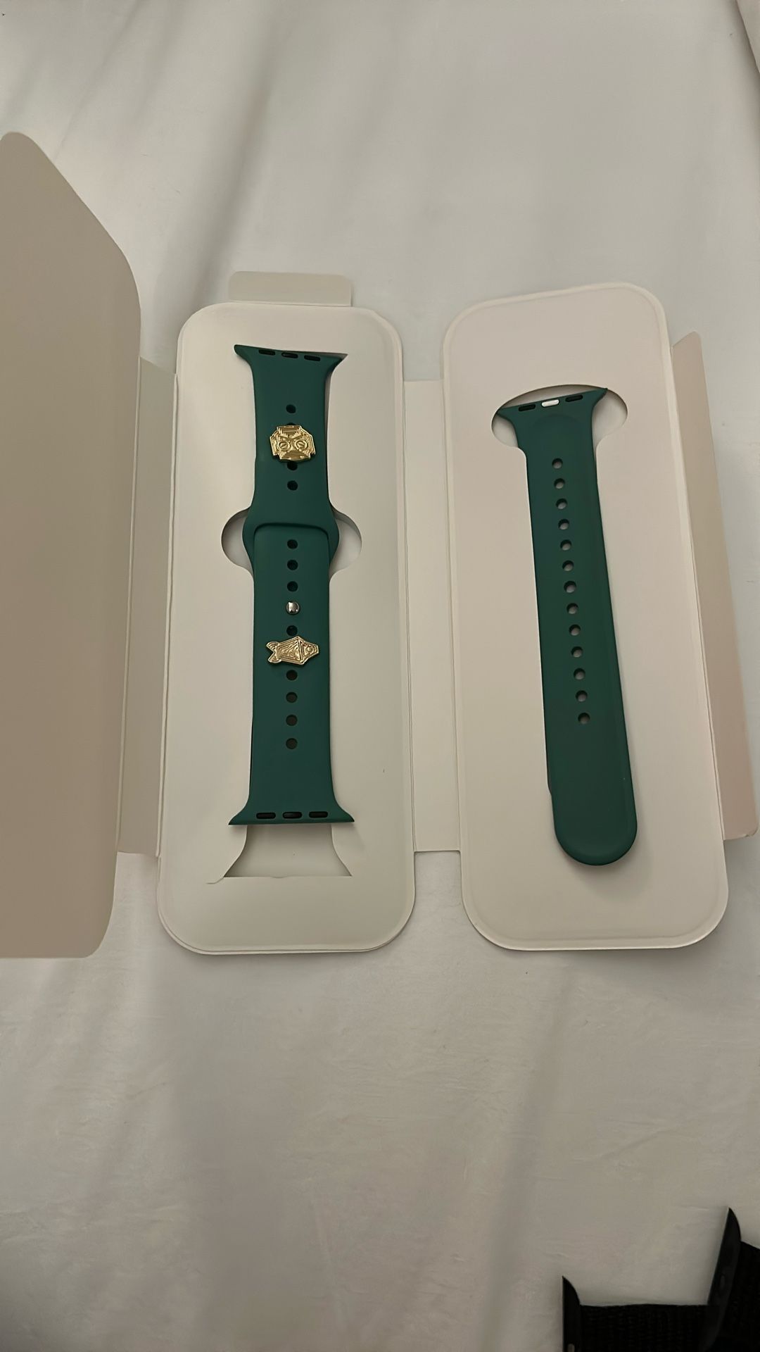 Apple Watch 10 Band