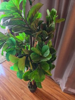 Artificial Fiddle Leaf Fig Tree – 6 ft Tall – $10