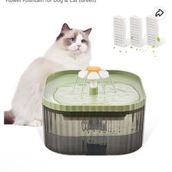 Flower Petal Water fountain 