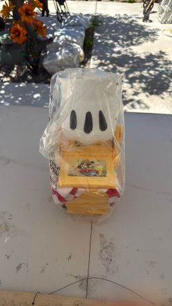 Disney Popcorn Bucket Picnic Basket