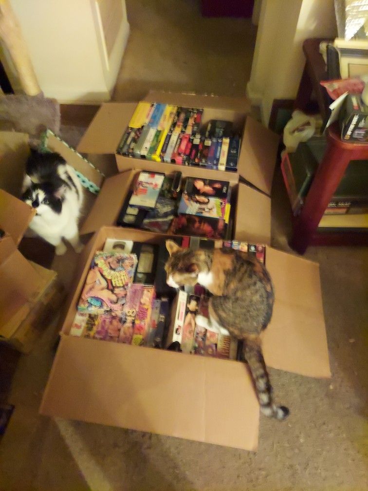 Dvd Vhs Collection. 100s