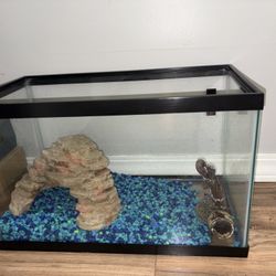 Fish tank