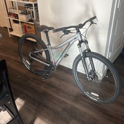 Cannondale 5 Mountain Bike Size Extra Small In Silver