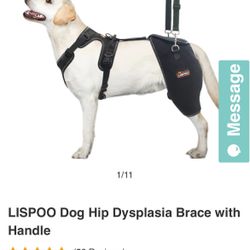 Lispoo Dog Brace