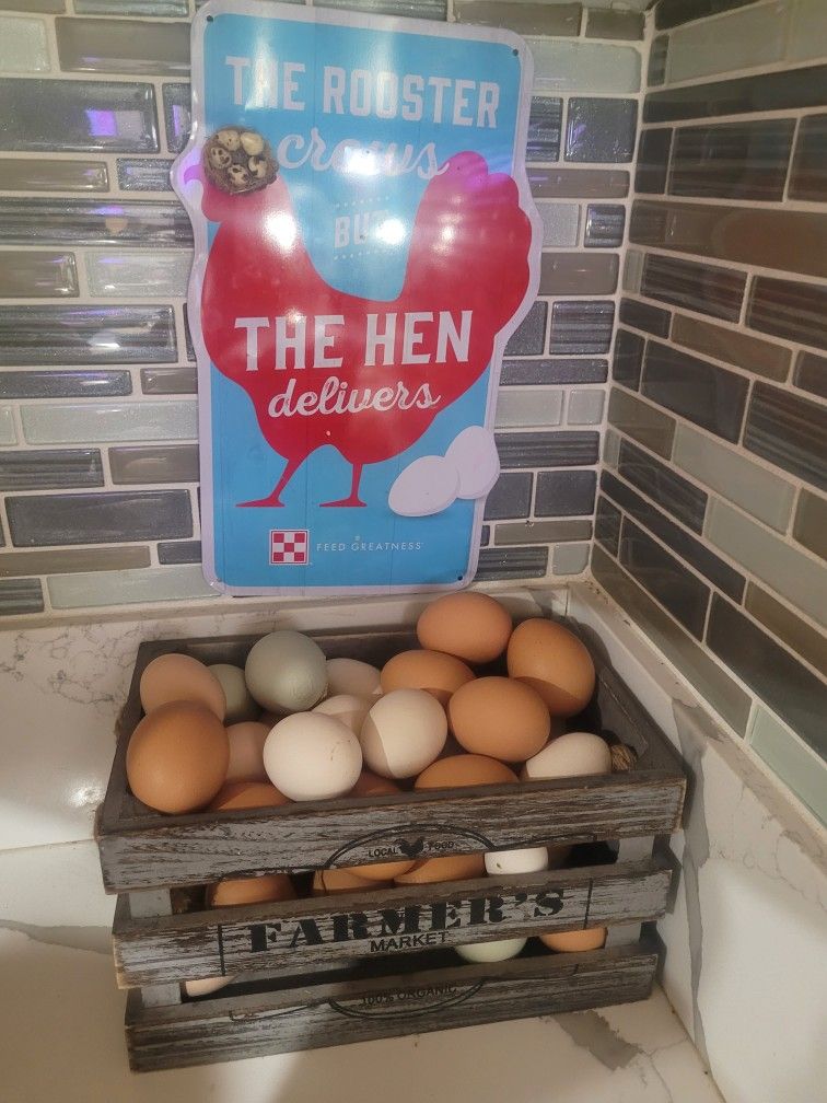 Farm FRESH Eggs FREE RANGE