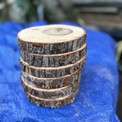 Wood Slices 