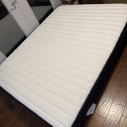 Free Queen mattress. 
