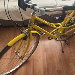 Electra Bike