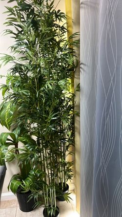 Artificial Bamboo plants