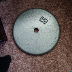 25 Pound Steel Plate