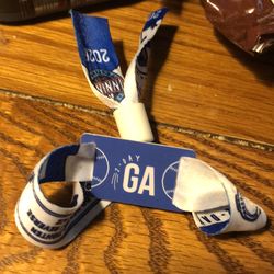 Innings festival 1GA for today