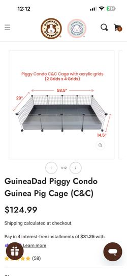 Guinea pig cage