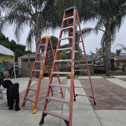 Ladders Need Gone 
