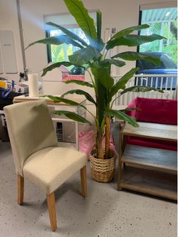 Tree and chair for sale