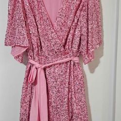 Plus Size 20 Pink Sequins Dress