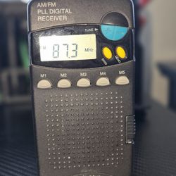 Rodelvox Radio, AM/FM Digital Receiver Working