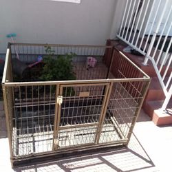 Dog Cage 
