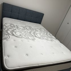 Brand queen upholstered bed frame with used Sealy PosturePedic 11” mattress