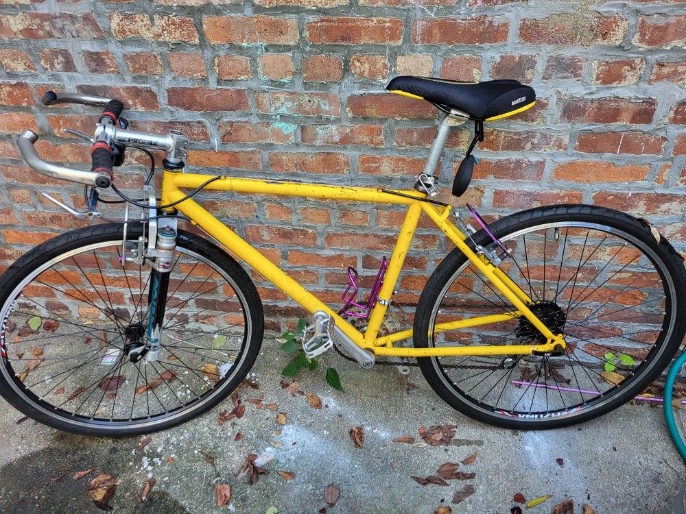 1990s Fat Chance Mountain Bike
