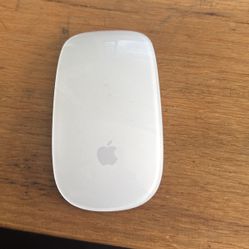 Apple Mouse