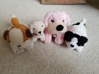 Dog plush toys