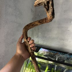 Sticks and rocks all rinsed then baked to sanitize!