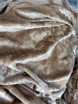 Velvet tan curtains