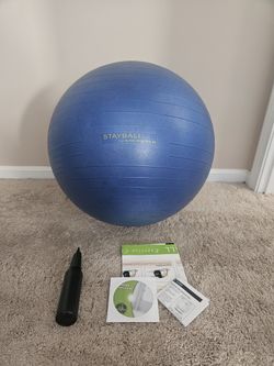 Gold's Gym Weighted Exercise Ball with Pump