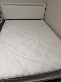Queen Bed for sale
