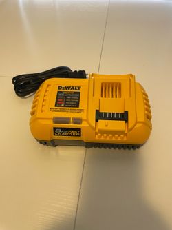 New Dewalt FAST CHARGER