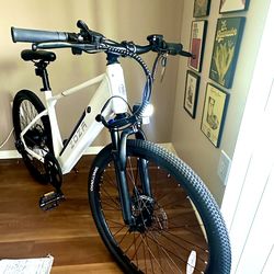 Electric Bike “ZDZA”