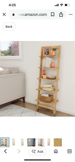 Ladder shelf