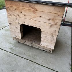 Dog House 