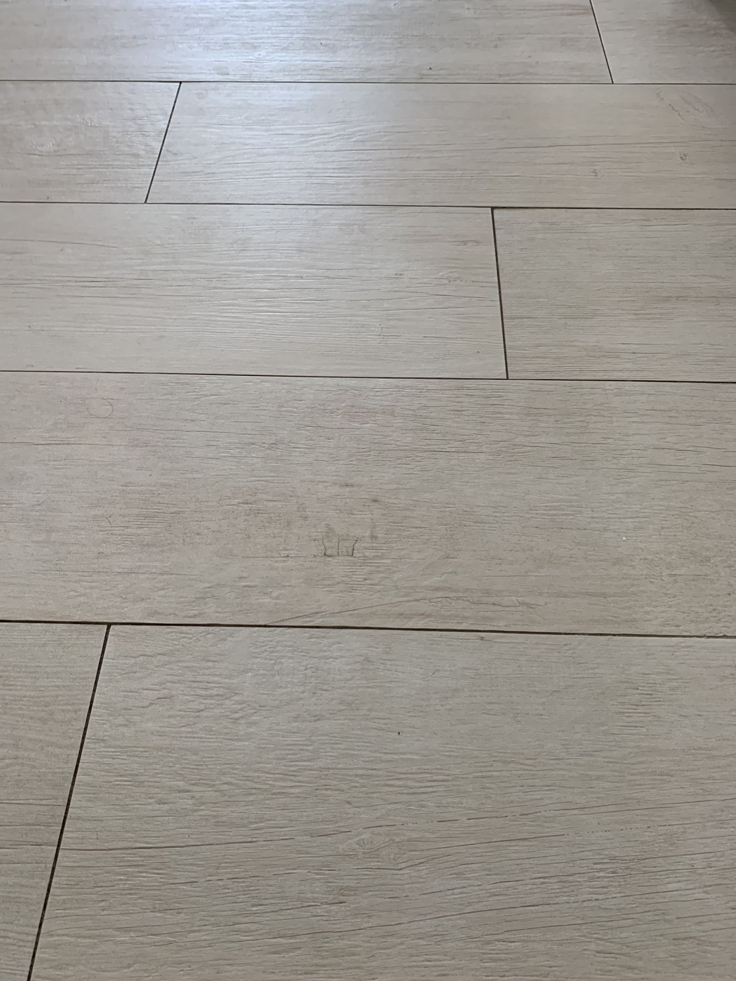 Atlas Concorde Rectified Tile-238 Sq Ft