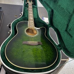 Ibanez Acoustic-Electric Guitar