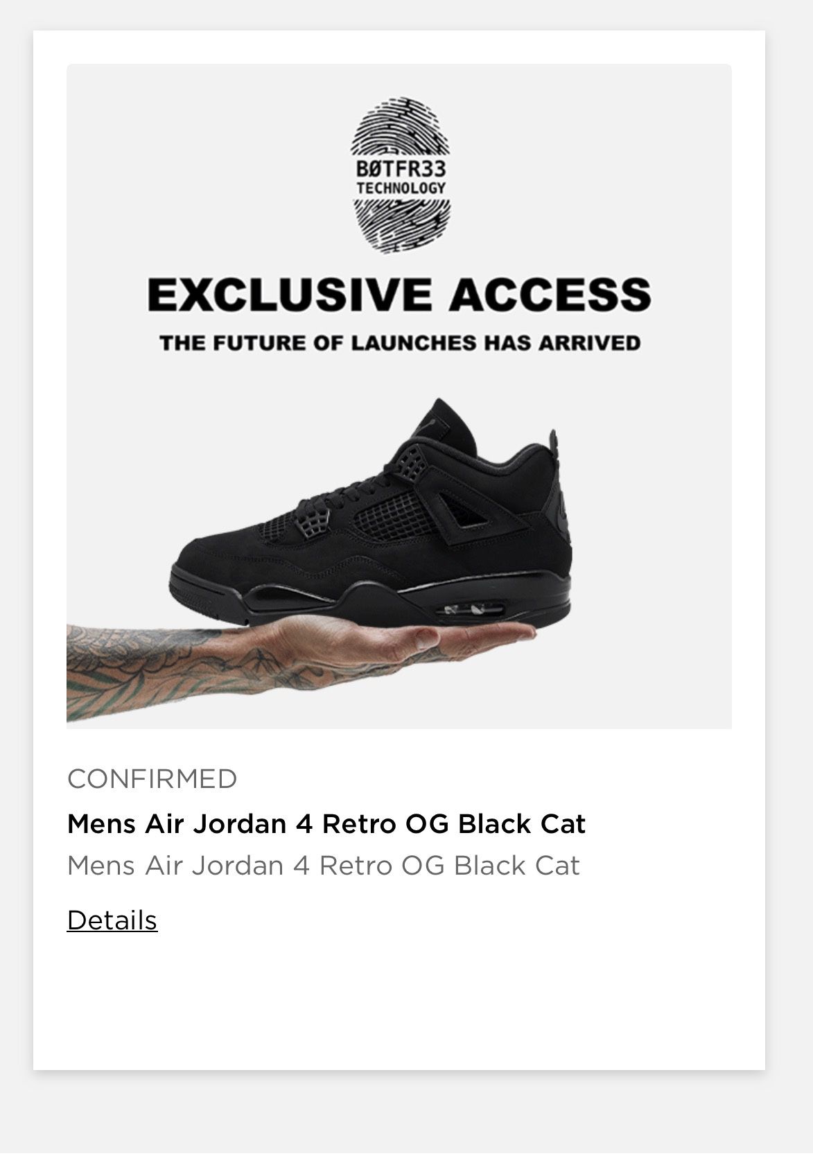 Black Cat 4’s 2025