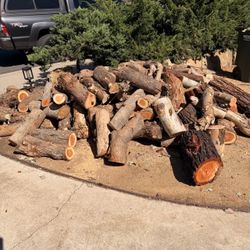 Fresh cut Eucalyptus firewood