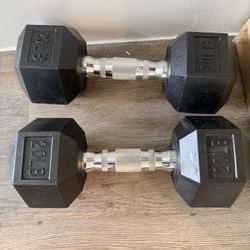 20lb Dumbbells 
