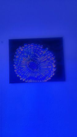 coral reef & fish small paintings
