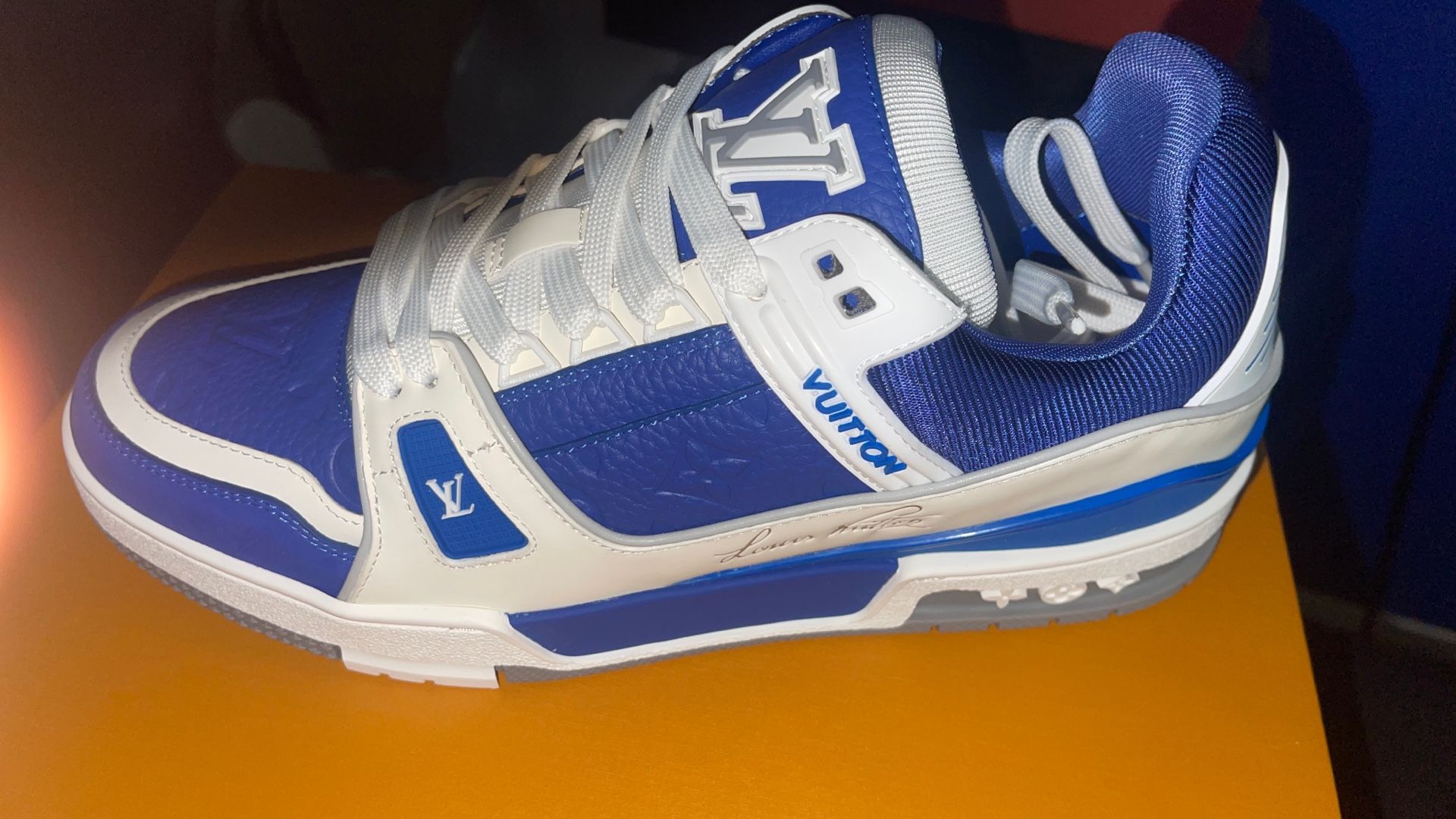 Louis Vuitton Sneakers
