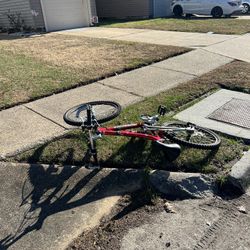 Free Bike