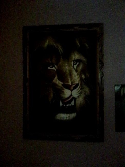 Tiger Painting