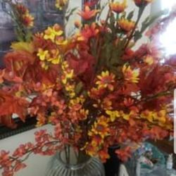 Beautiful  Fall Flowers