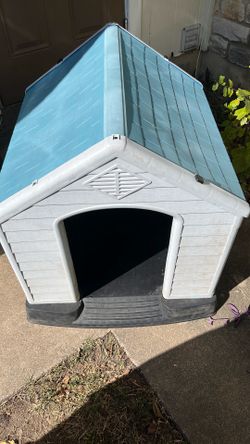 Little doggy house