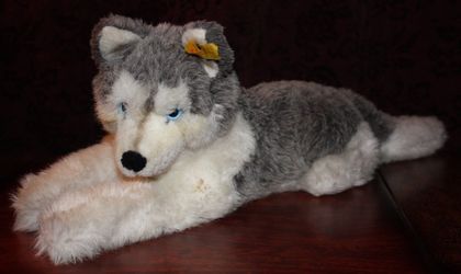 STEIFF ORIGINAL MOLLY HUSKY DOG 23-1/2” - 104916 Ear Button & Tag