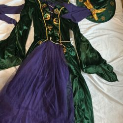 Winifred Sanderson costume from Disney's Hocus Pocus 